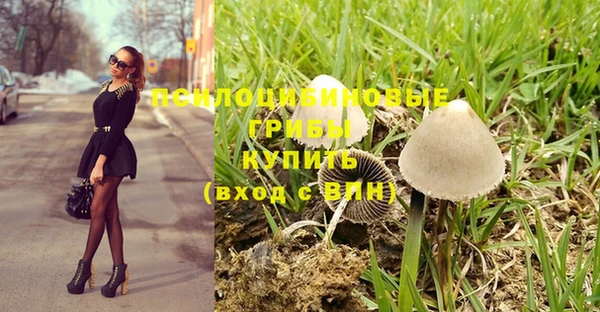 таблы Рославль