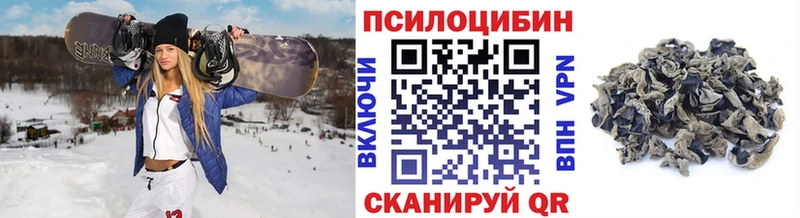 Псилоцибиновые грибы Psilocybe  Алагир 